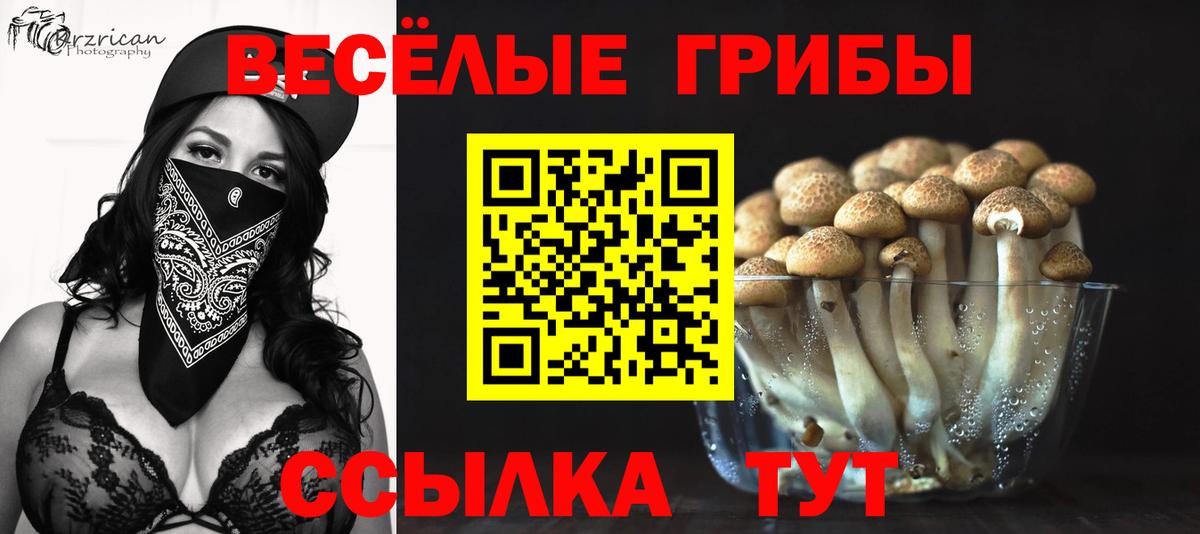 Галлюциногенные грибы мухоморы Северск