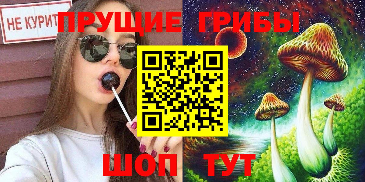 Псилоцибиновые грибы Psilocybe  Псилоцибиновые грибы мухоморы  Вход с VPN  Северск 